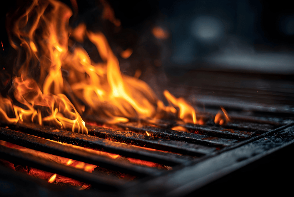 Fuego y Brasas en Parrilla